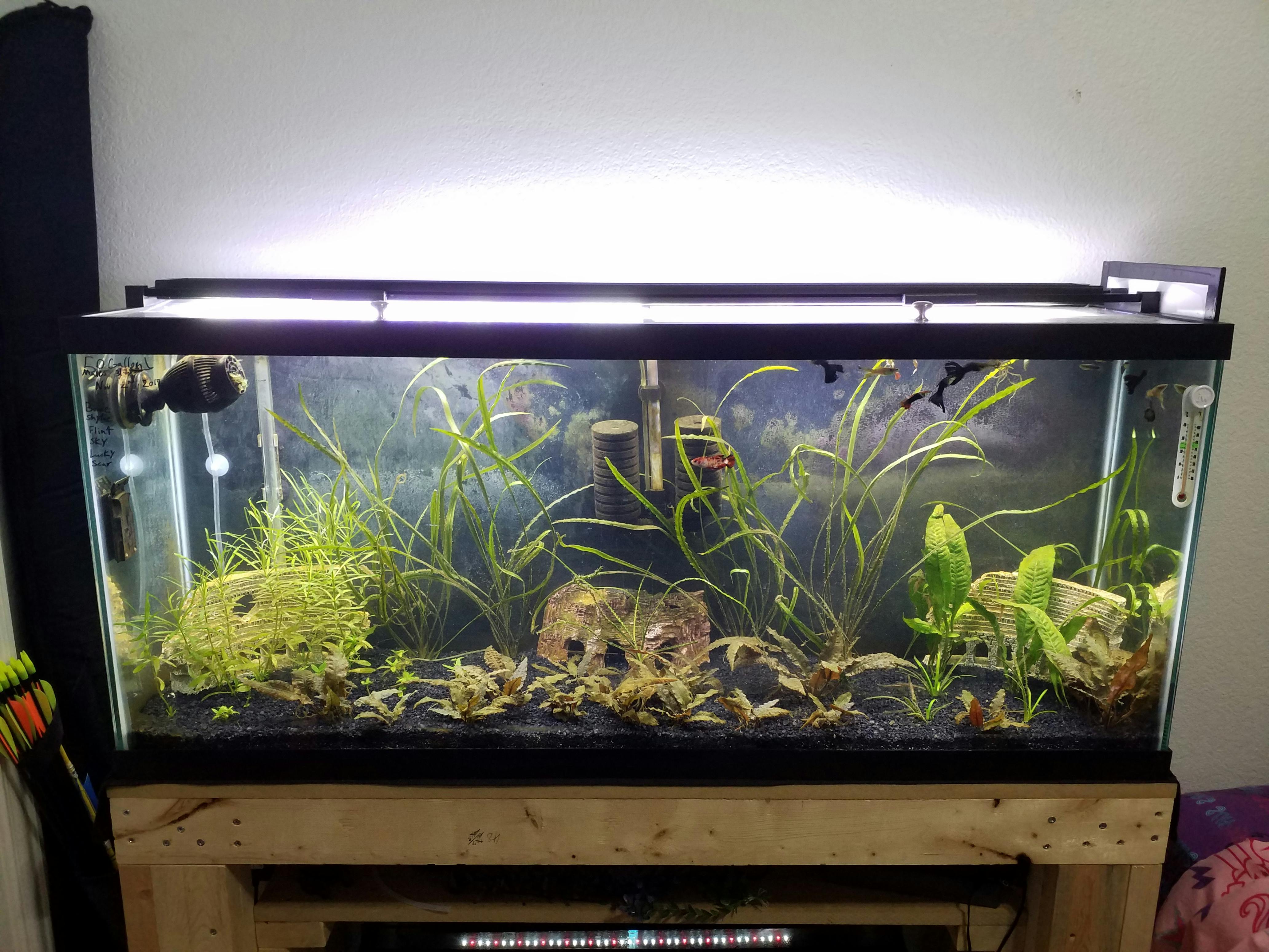 Fluval Fresh & Plant 2.0 LED Light Aquarium CoOp